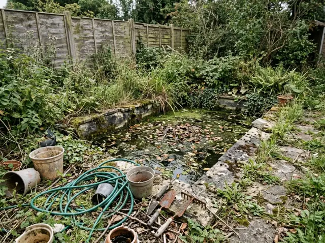 The Ultimate Garden Pond Transformation Guide: Before & After